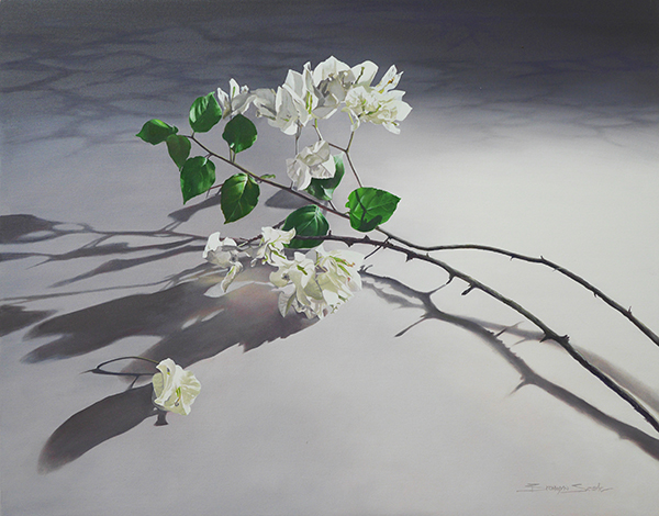 Whiter than Light by Bronwyn Searle | Lethbridge Gallery